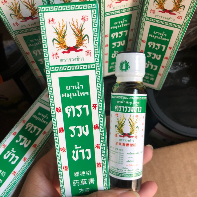 DẦU GIÓ BÔNG LÚA CHÍNH HÃNG THÁI LAN 24 ML
