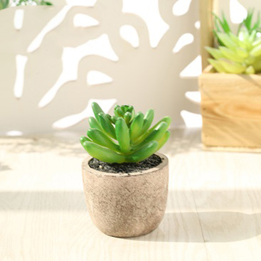 Cây giả - Chậu Sen đá Xơ dừa (cả cây và chậu)