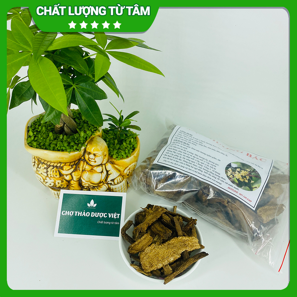 Mộc hương bắc khô 100g, thái lát mỏng, thơm, sạch, giảm đau dạ dày, đại tràng, tốt cho tiêu hóa