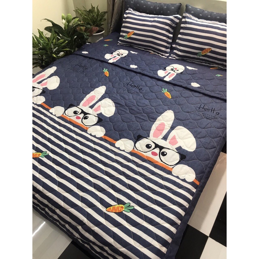 Trọn bộ 5 món chăn hè ga chun vỏ gối poly cotton mẫu mới
