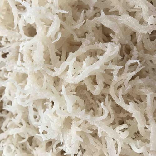 Rong Sụn - Rong Biển Trắng - 1kg