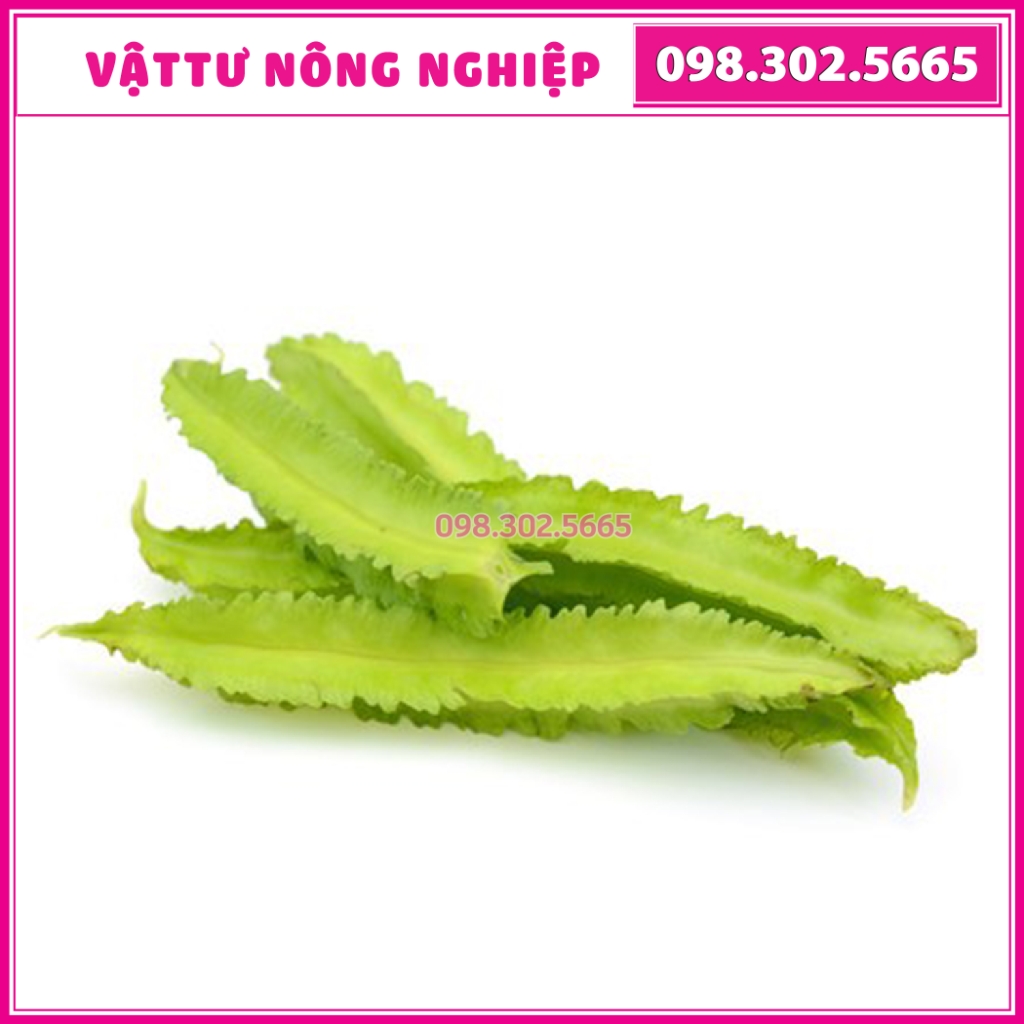 Hạt giống đậu đỗ khế F1 siêu quả - gói 5g, dễ chăm sóc, thu hoạch liên tục