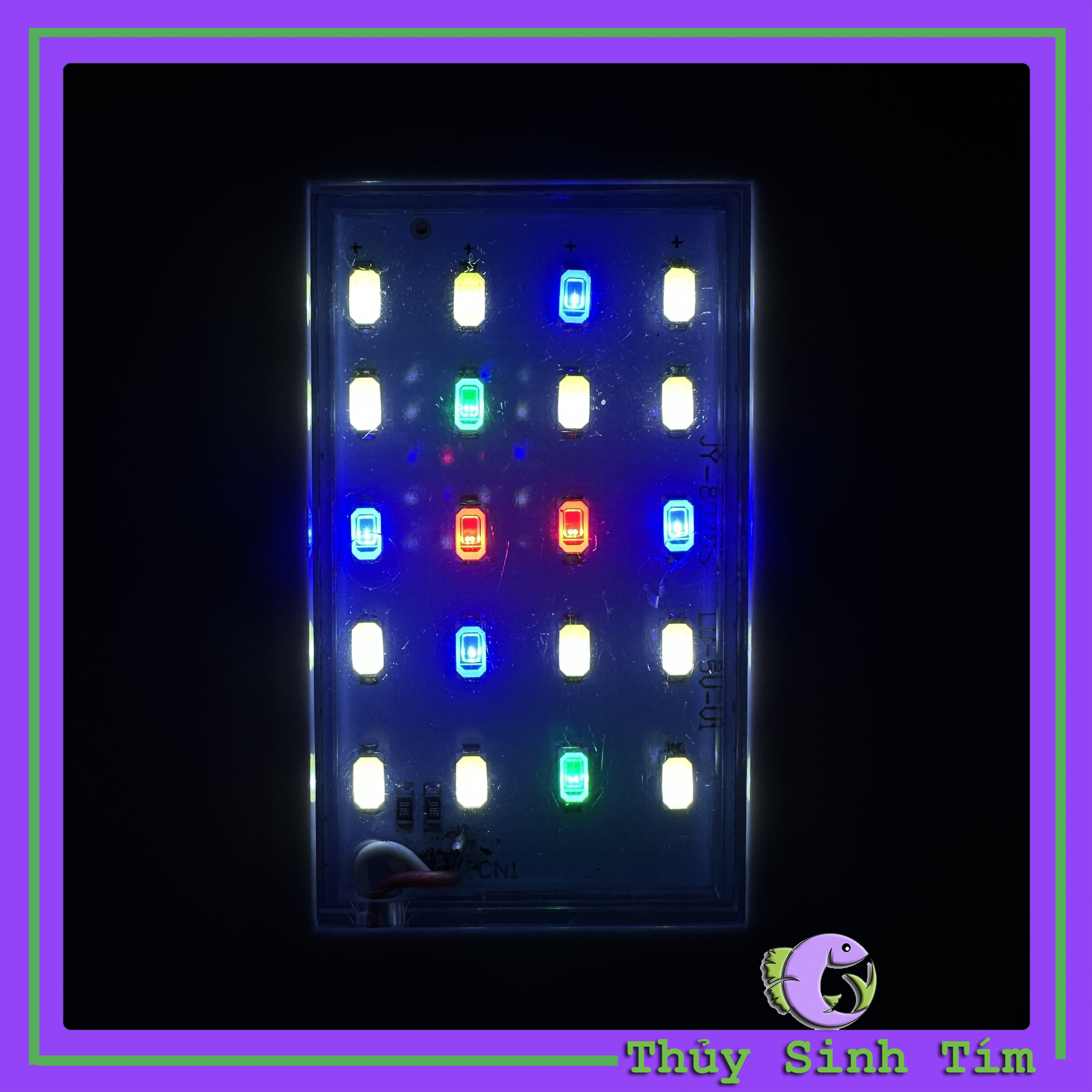 Bể Cá Mini Fish Tank Để Bàn Làm Việc, Bàn Học