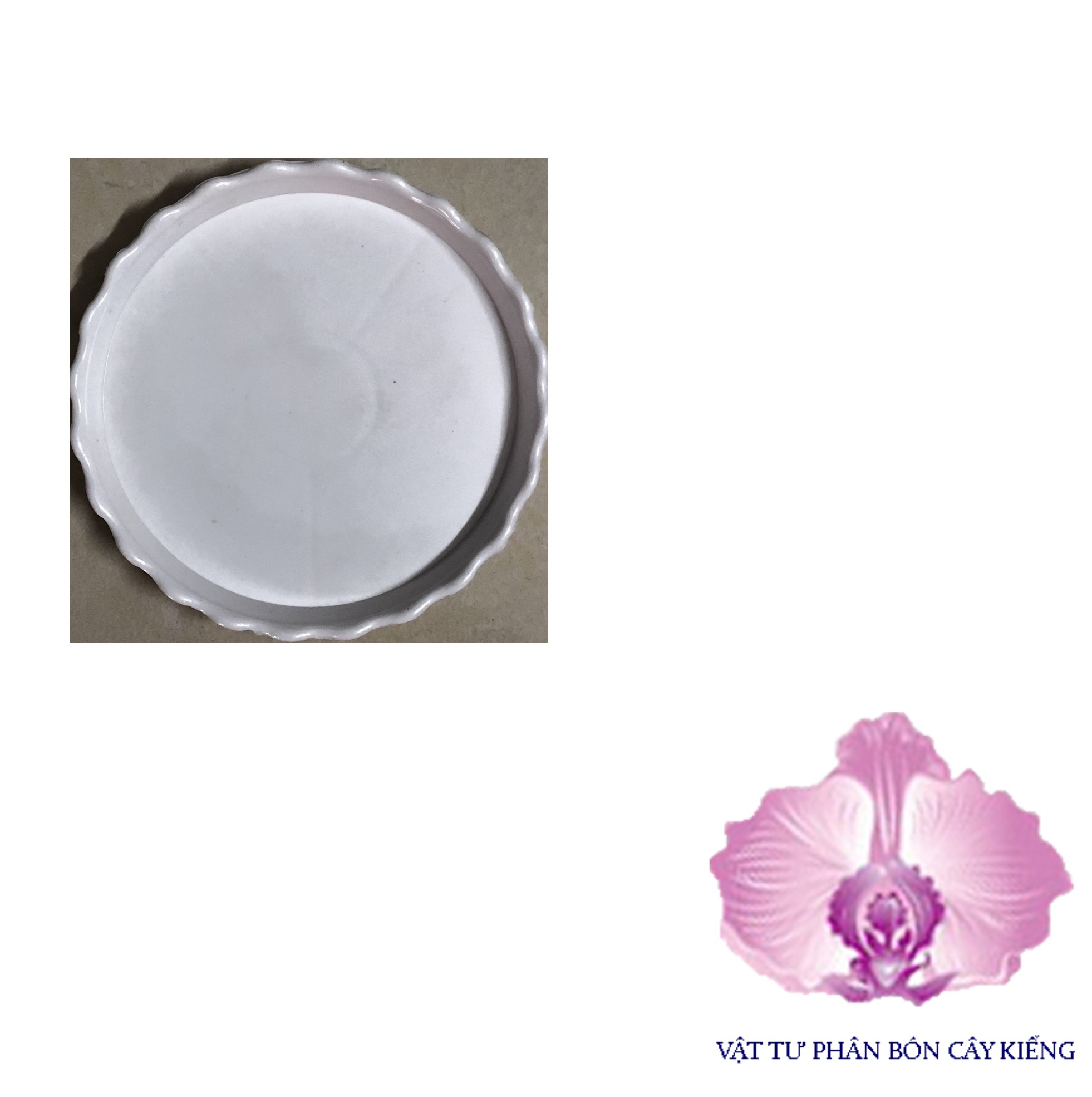 Đĩa lót chậu tròn khía 11cm - #047d#
