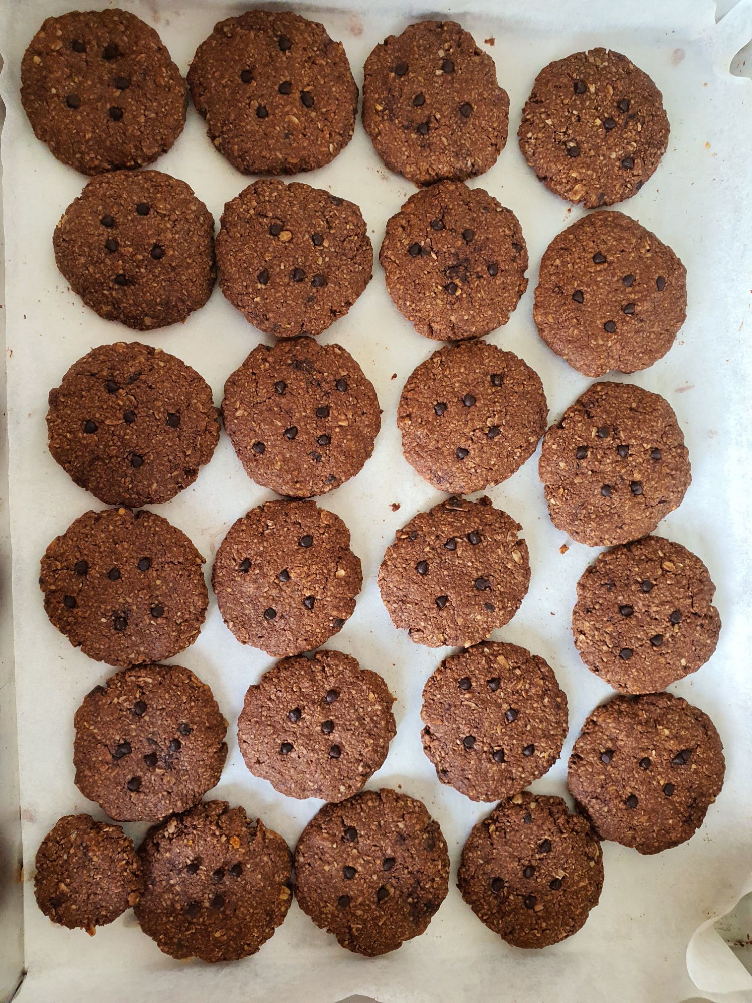 Bánh yến mạch chocolate- 250gr