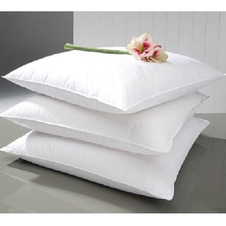 [HCM]ruột gối hơi 50x70