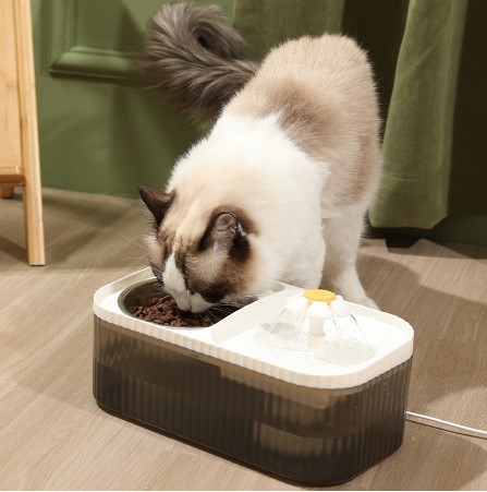 Water Filter with Feeding Bowl, Flower-shaped Feeding Bowl for Dogs and Cats