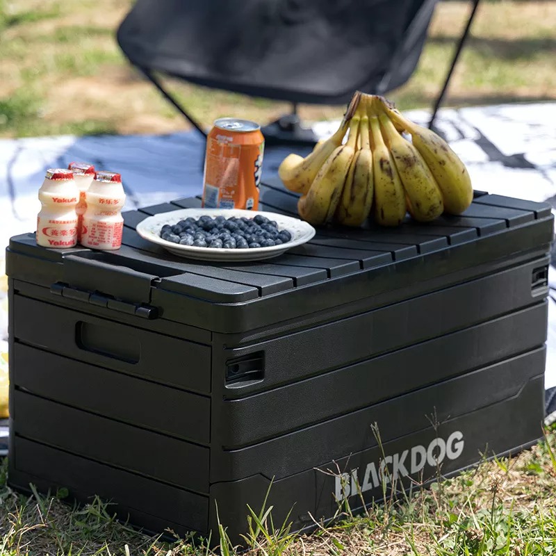 BlackDog hộp lưu trữ di động ngoài trời 60L PP LSF580-INTL