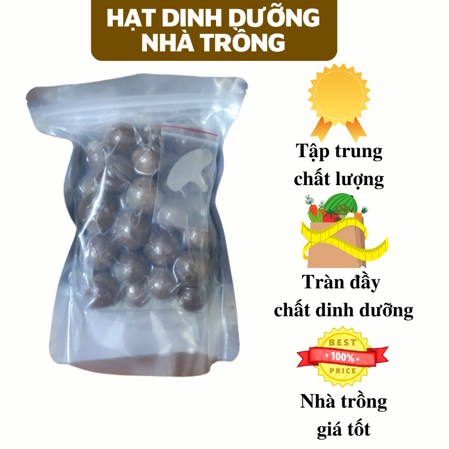 Hạt macca sấy nứt vỏ nhà trồng 500g tặng kèm đồ khui