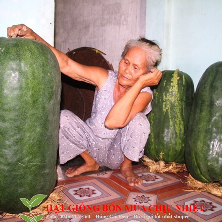 226A Bí Đao Khổng Lồ 5 Hạt