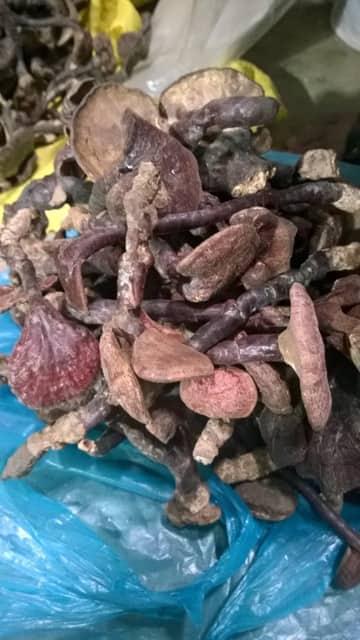 nấm lim xanh 100g