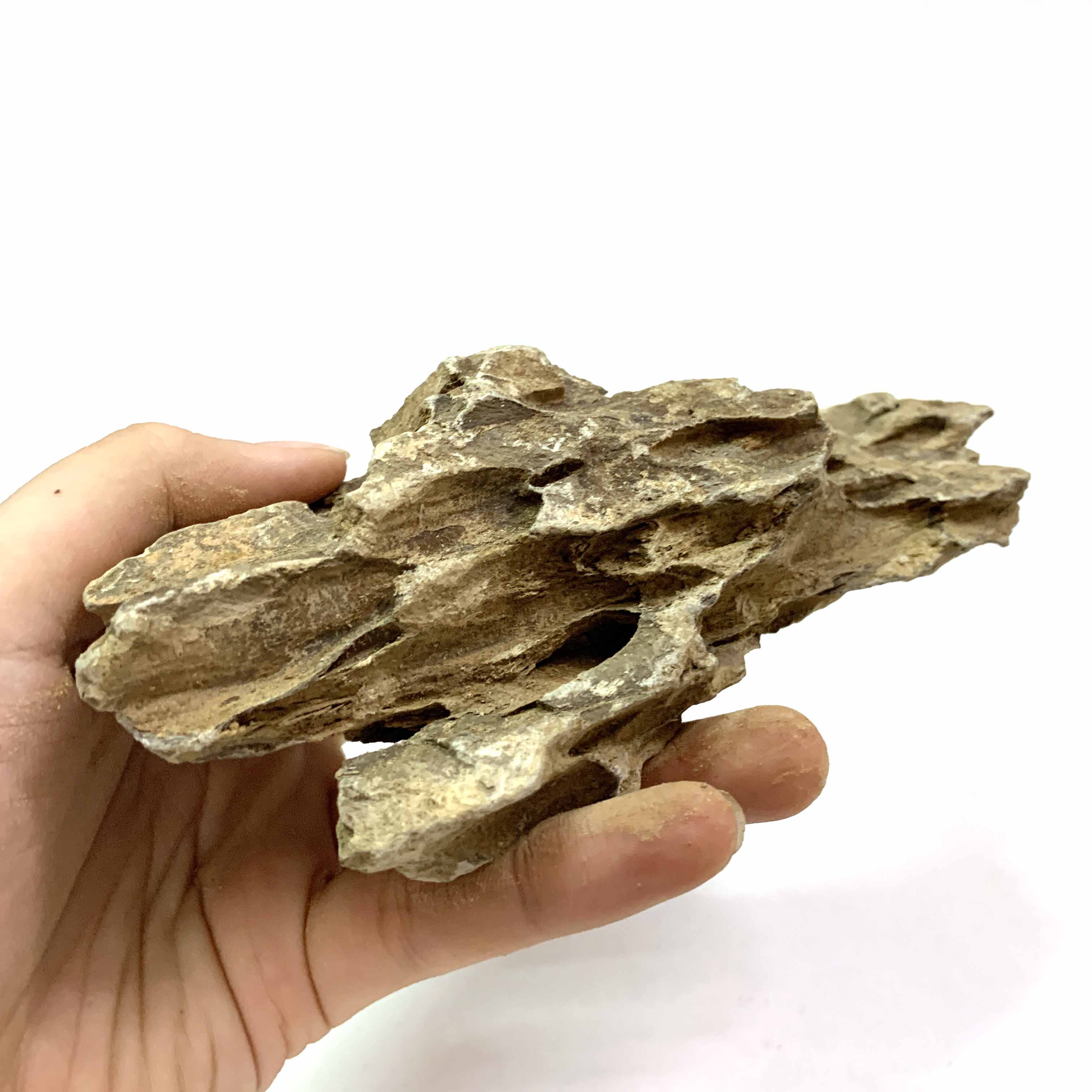 1KG Đá Tiger Setup Hồ Cá Thuỷ Sinh - Đá Tiger Vàng Trang Trí Bể Cá