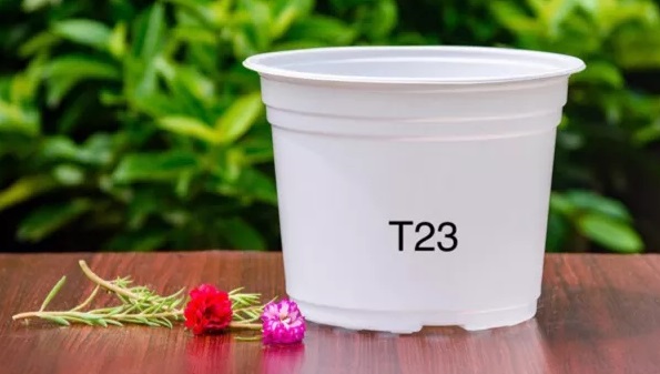 combo 10 chậu nhựa T23 cũ