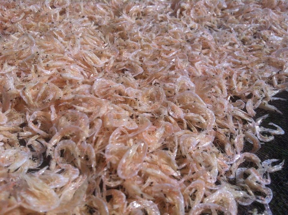 Bột nêm ruốc ÔNG THẮNG - 280g