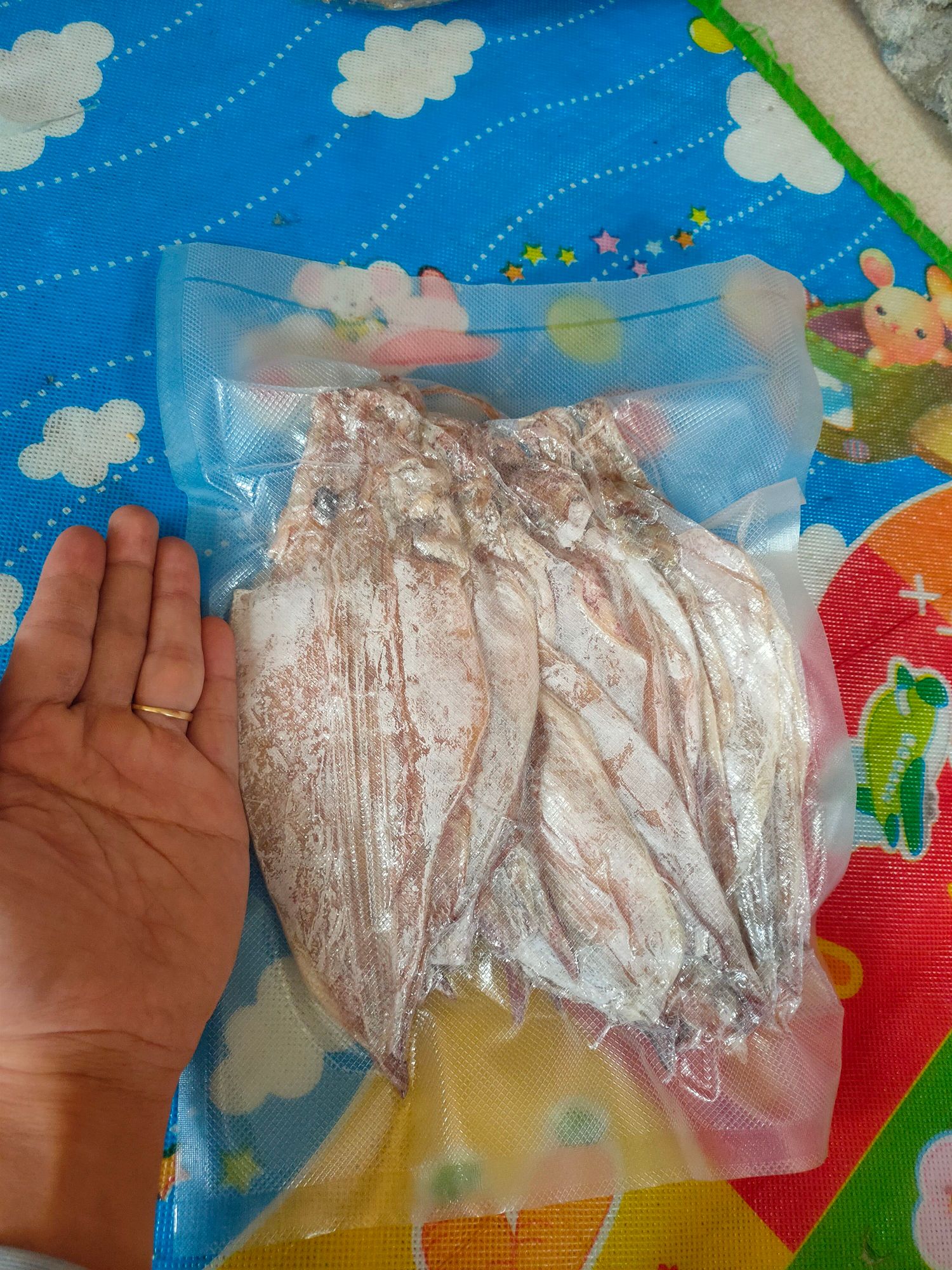 COMBO 10 CON MỰC y hình
