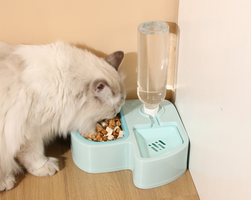 Food Bowl with 500ml Water Bottle for Dogs and Cats - T3 Pets Shop