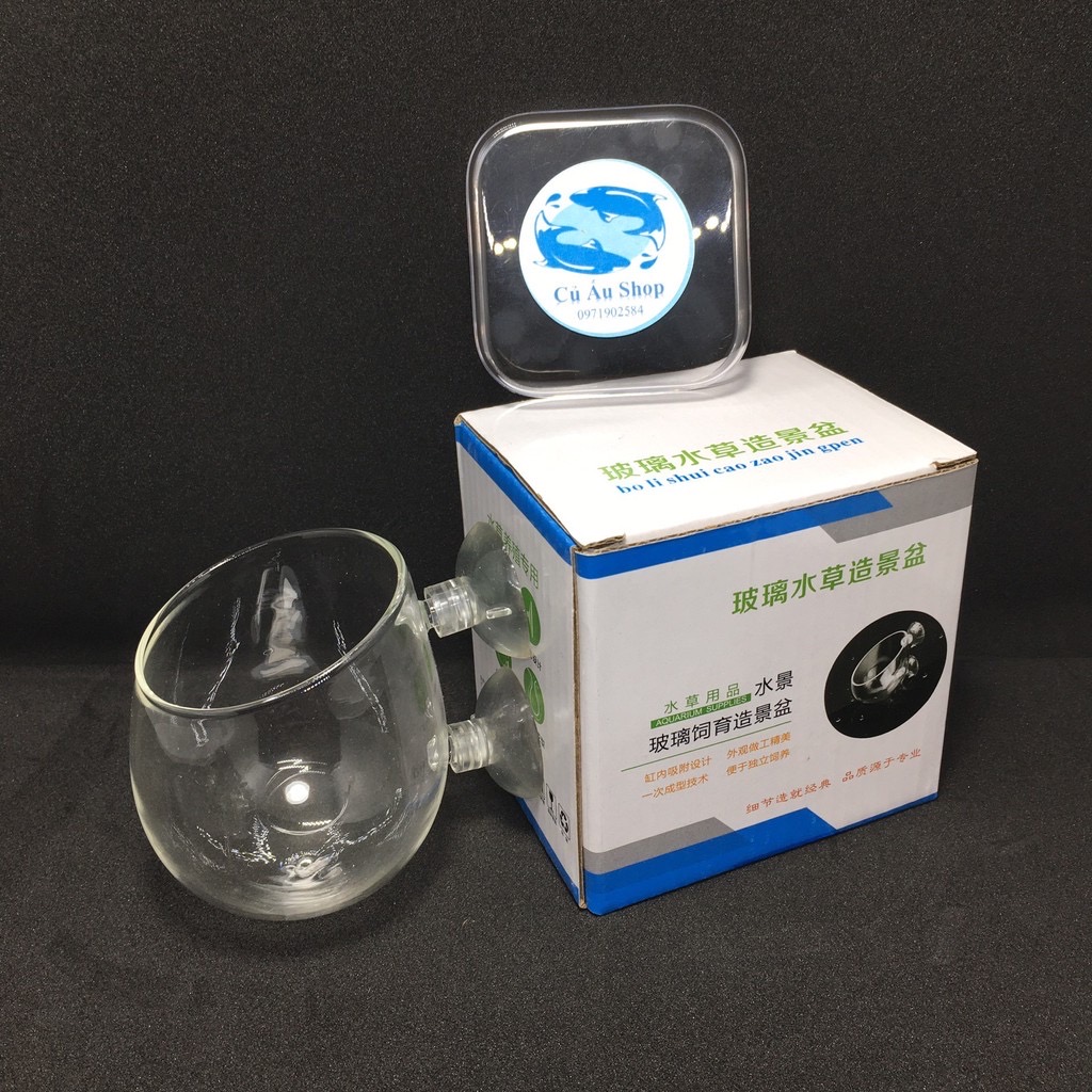 Cốc Trồng Cây Thủy Sinh Hồ Cá