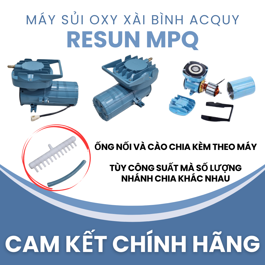 MÁY SỦI KHÍ BỂ CÁ (THỔI KHÍ OXY RESUN) - XÀI BÌNH ACQUY 12V/ 24V (ÍT NHẤT 30A)