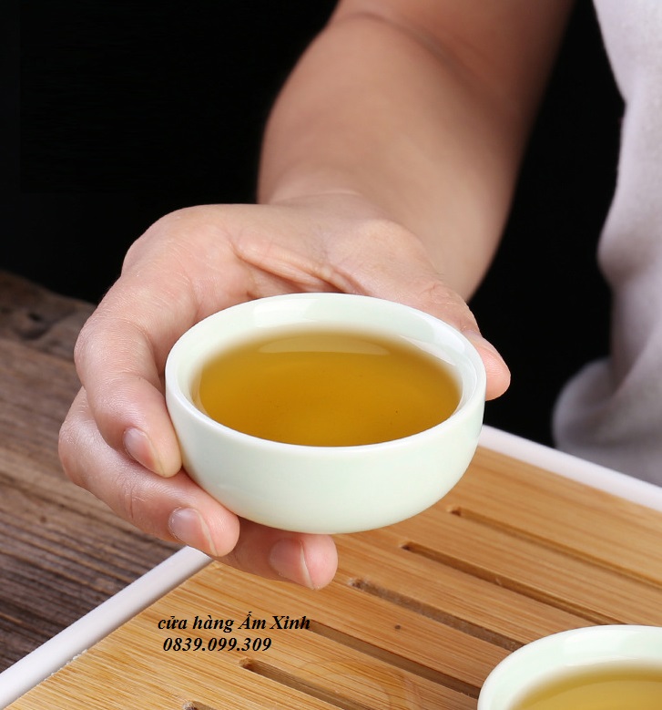 Bộ ấm trà du lịch (kèm cả khay)