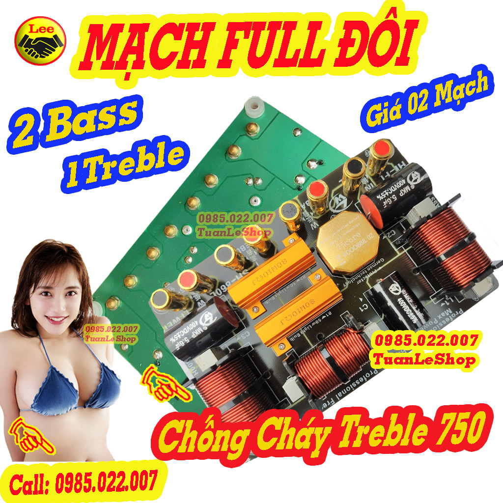 Mạch full đôi bass 40, mạch phân tần chống cháy treble 750 - 2 bass + 1 trep sh - 860l giá 02 mạch loa