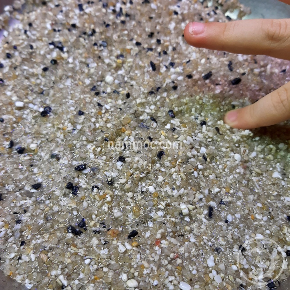 1KG Cát Muối Tiêu Kim Sa Hạt Lớn | Cát Trải Nền, Trang Trí Bể Cá Cảnh Thuỷ Sinh