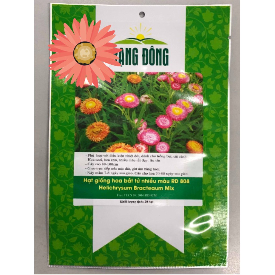 Hạt Giống Hoa Bất Tử Nhiều Màu 20 hạt