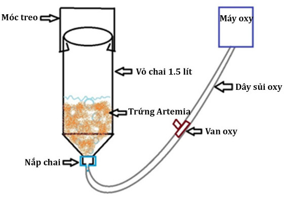 Bộ ấp Artemia chuyên dụng