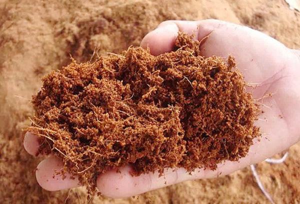 Mụn xơ dừa xử lý dùng trồng lan, rau sạch, cây cảnh 1kg