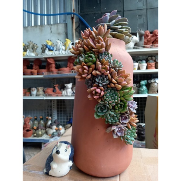 Chậu đất nung Bình Dương xẻ thân miệng 9.5 x cao 36cm