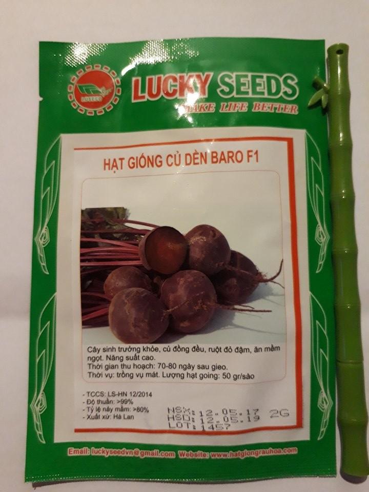 Hạt giống Củ dền đỏ – 2Gram/Gói