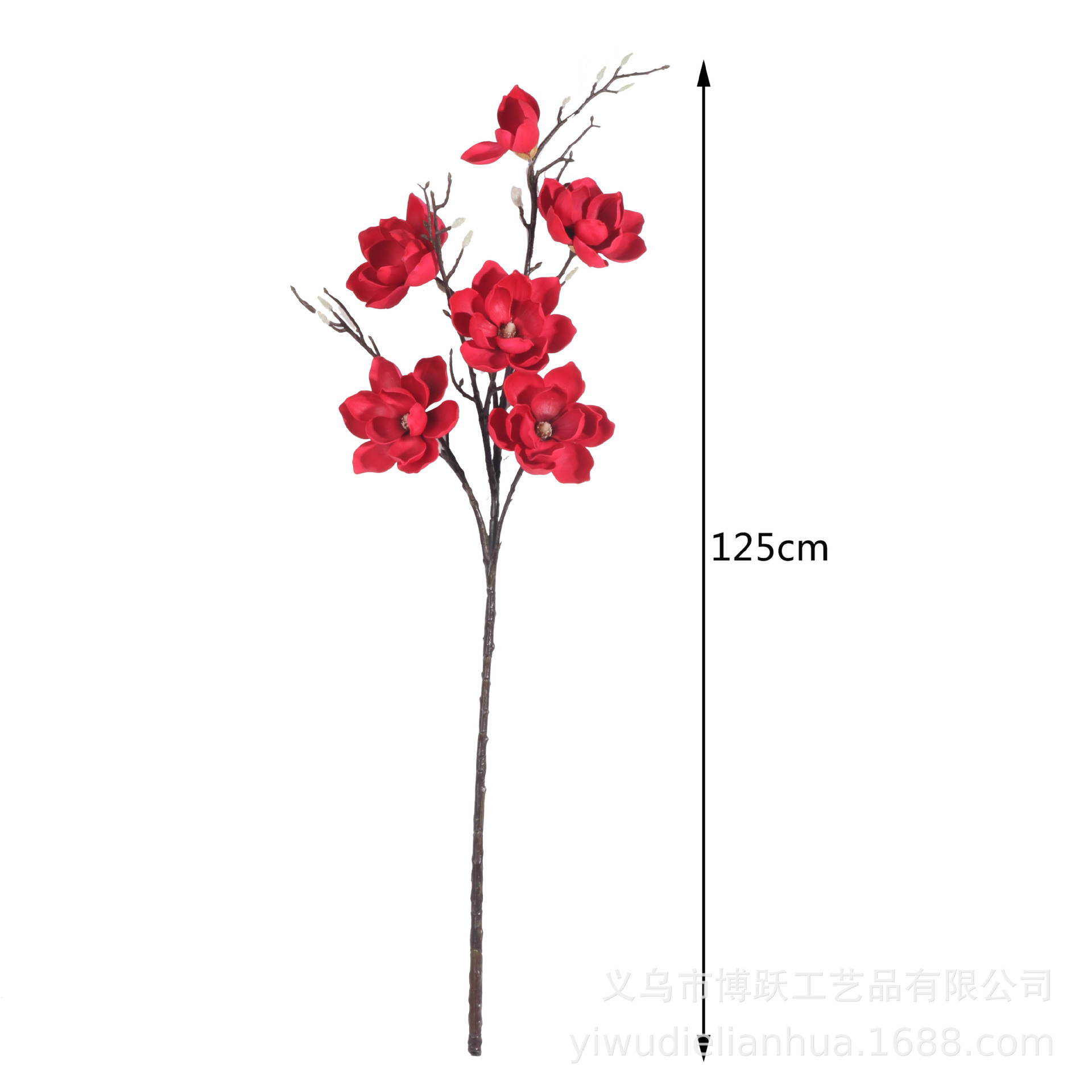 Mộc Lan 6 Bông Size To, Hoa Mộc Lan Xốp 014