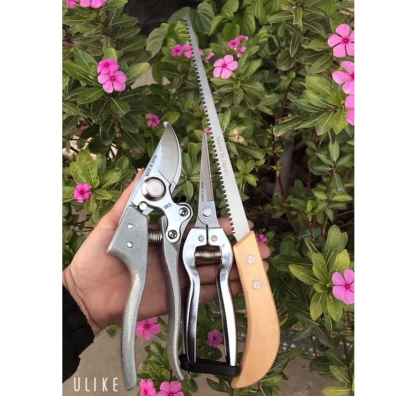 bộ 3 món cắt tỉa cây , làm vườn mã KAS