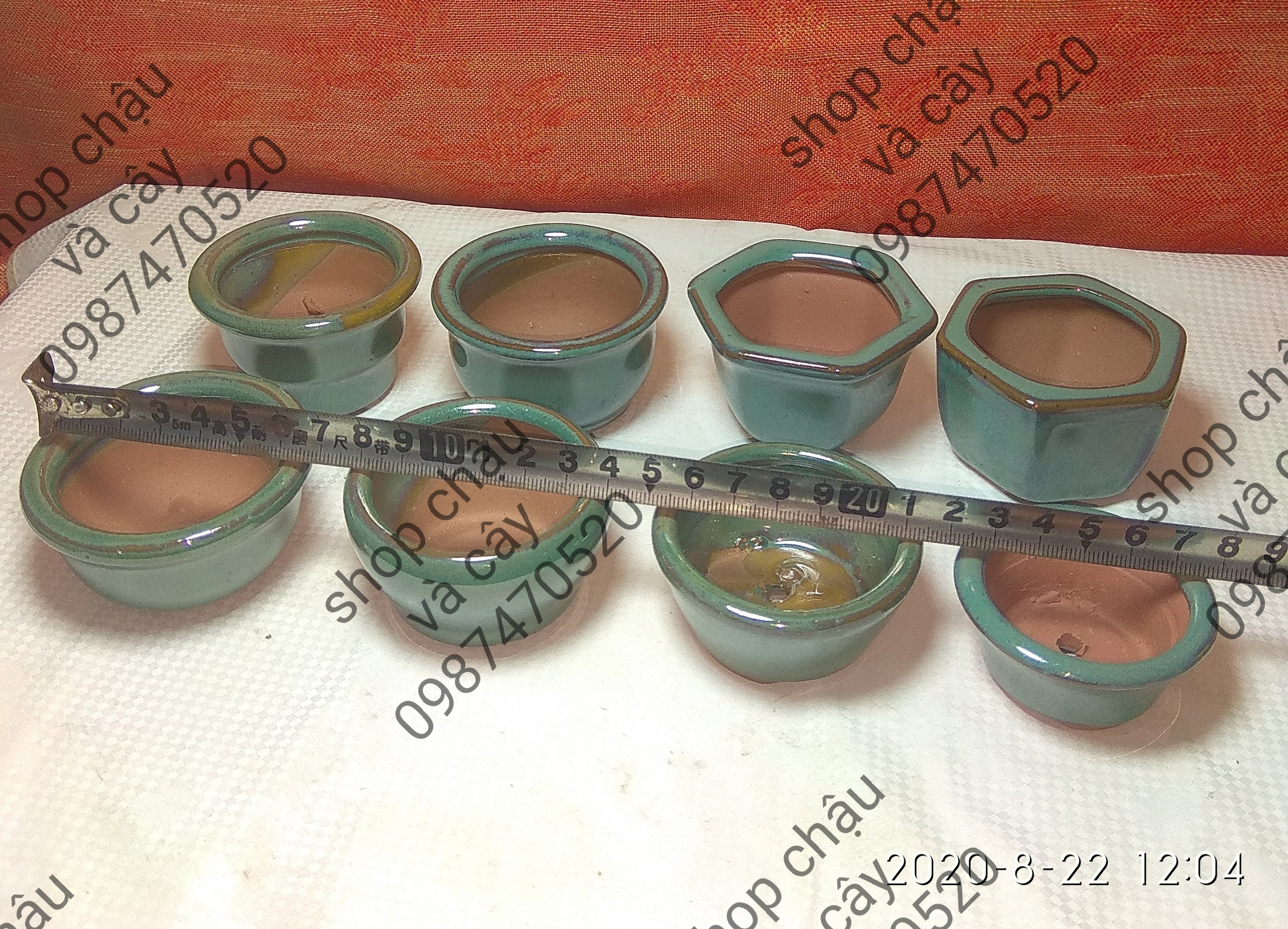 Combo 8 chậu siêu mini,chậu trồng cây mini