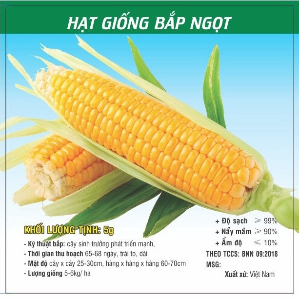 Hạt giống Bắp Ngọt - Bắp Tím Ngọt TN