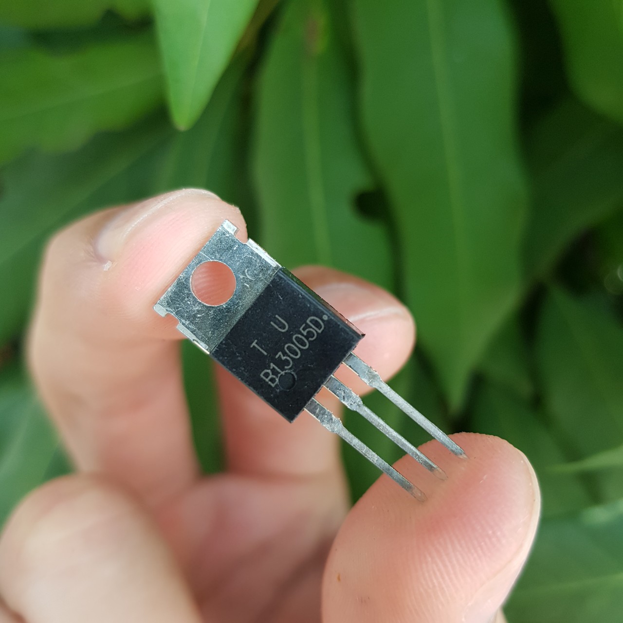 Tran 13005 combo transistor b13005d 13005 400v 4a to220 chính hãng thay thế tip41c - kho điện tử