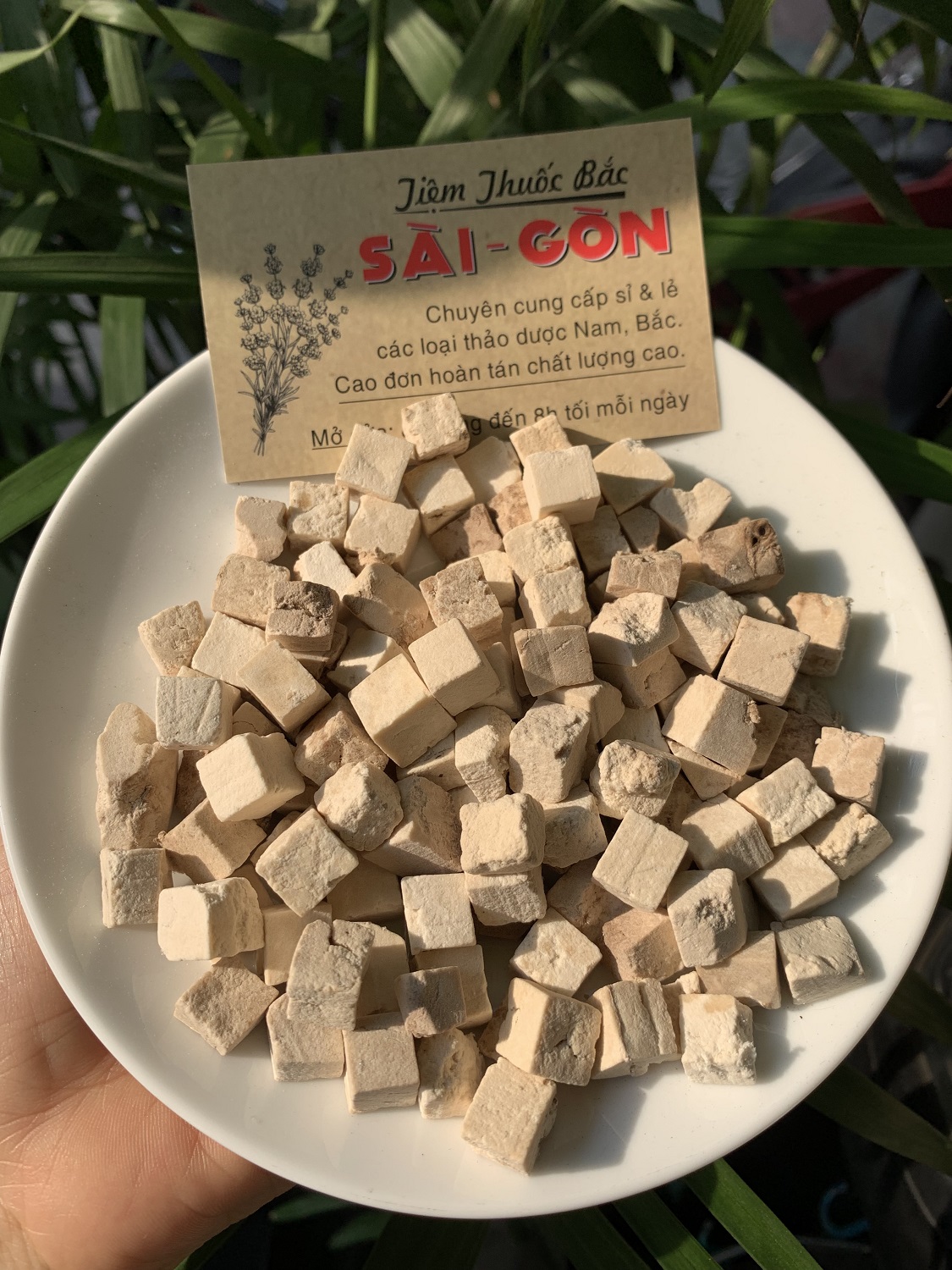 [HCM]Bạch Linh Viên 100g - Bạch Phục Linh Viên (Hàng Cao cấp, thơm, ngon)