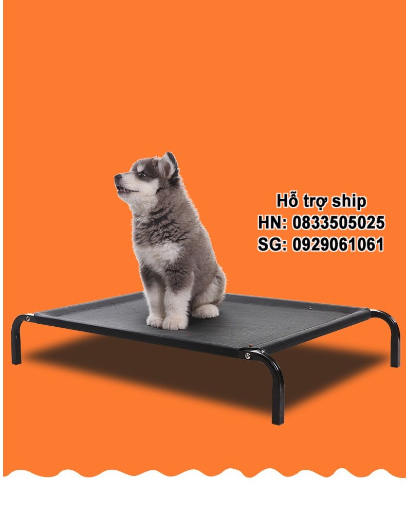 Hanpet - . - Giường chó mèo khung sắt có thể gấp gọn / giường nằm Giường sắt chó chó / giường ngủ có thể dùng cho thú cưng / giường ngủ chó mèo chịu lực / nhà chó / nệm mèo / nhà giường nệm chó mèo