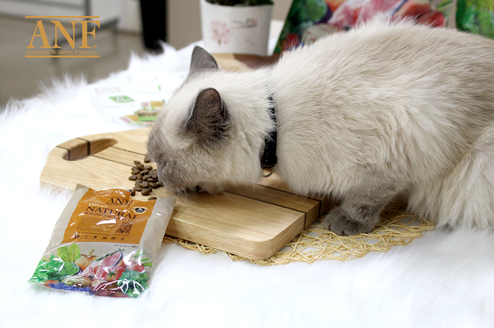 (HÀNG MỚI) ANF 6FREE PLUS thức ăn hạt hữu cơ cho mèo 400g