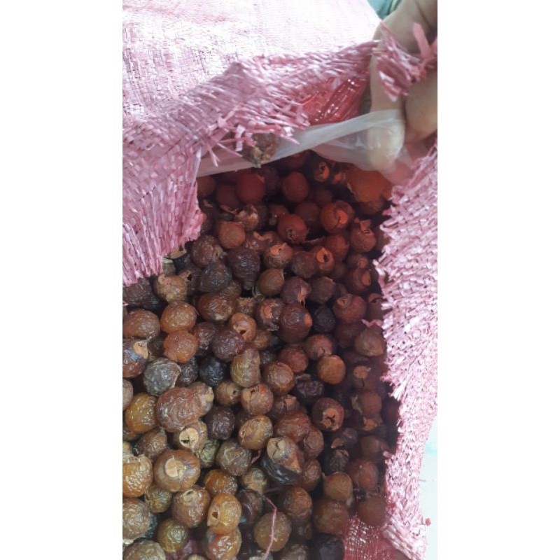 Quả bồ hòn khô tách hạt 49k1 kg