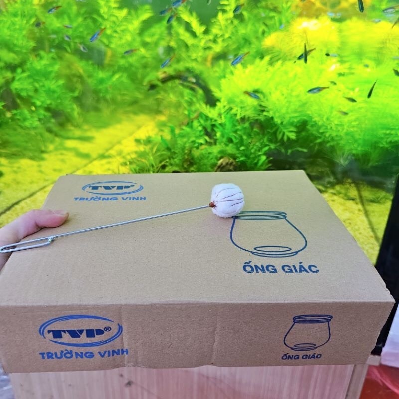 Bộ ống giác hơi 12 ống - bộ 12 vắt hơi thuỷ tinh cao cấp