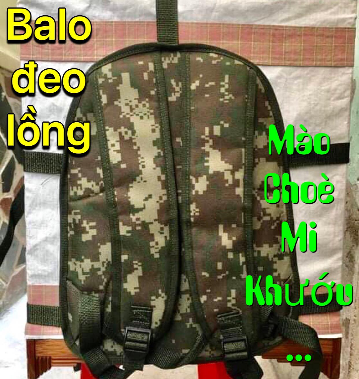 Balo đeo lồng chim hót .