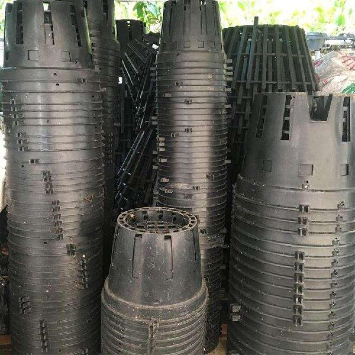Combo 10 chậu trồng lan đen fi 15