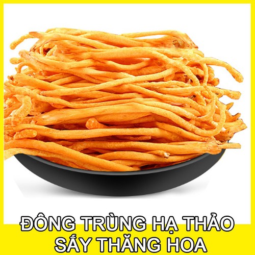 [10g] Đông trùng hạ thảo sấy thăng hoa (Theo đề tài cấp nhà nước)
