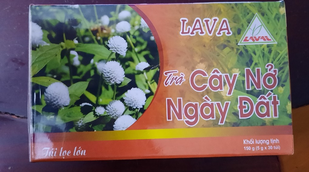 [HCM]Trà Cây nở ngày đất Lava