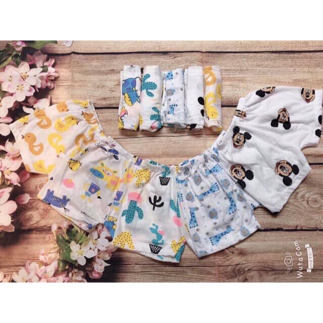 Quần chục đùi cotton giấy cho bé