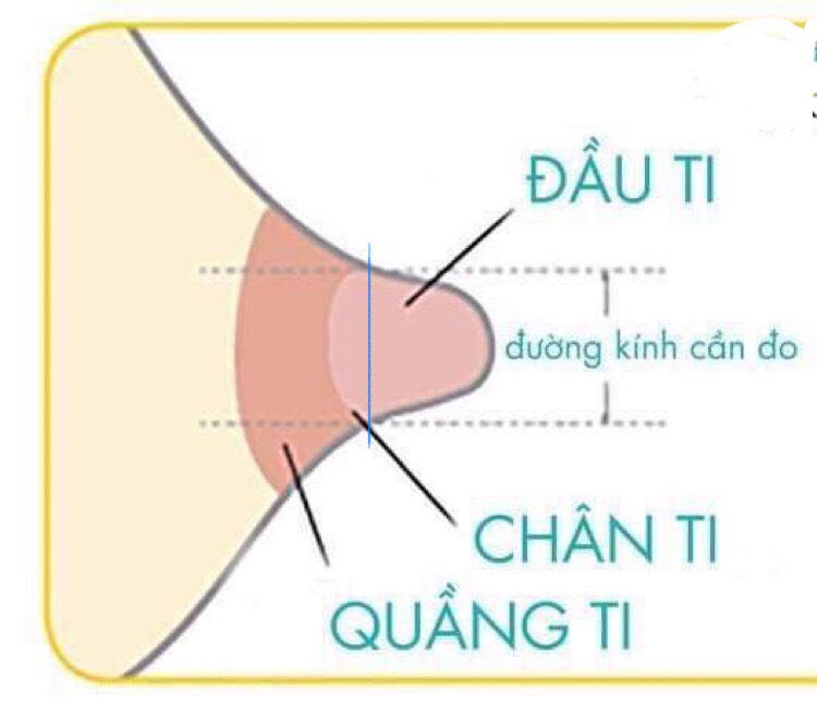 Phễu hút sữa medela size 21mm, 24mm, 27mm