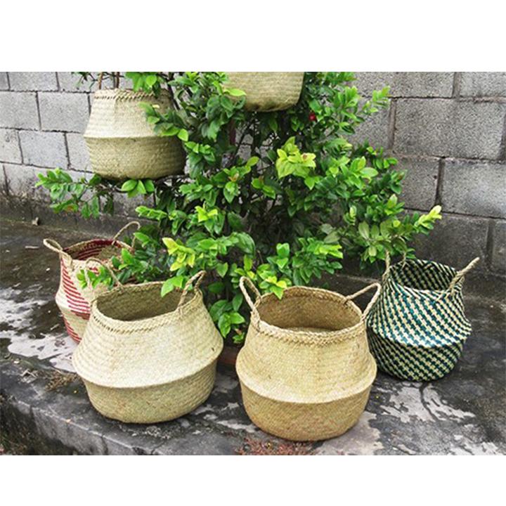 Giỏ cói trồng cây