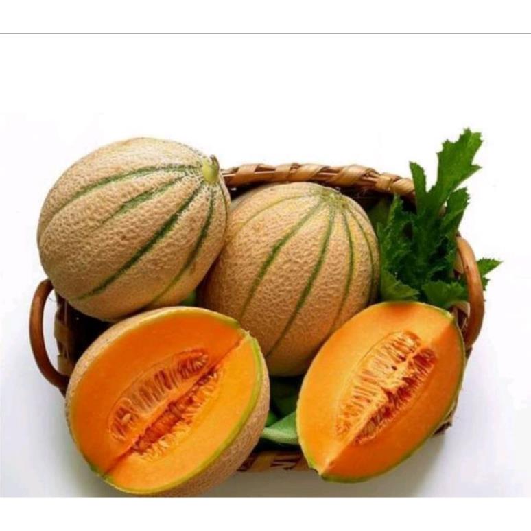 1g hạt giống dưa lưới sọc Rạng Đông