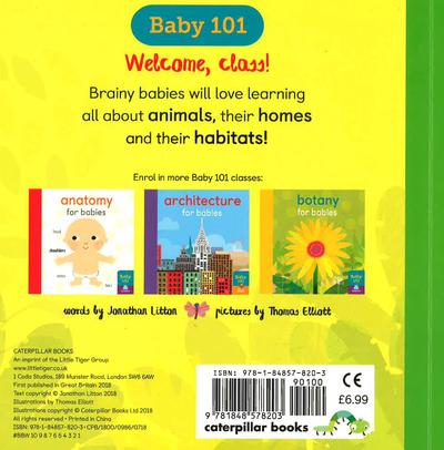 Baby 101: Zoology For Babies
