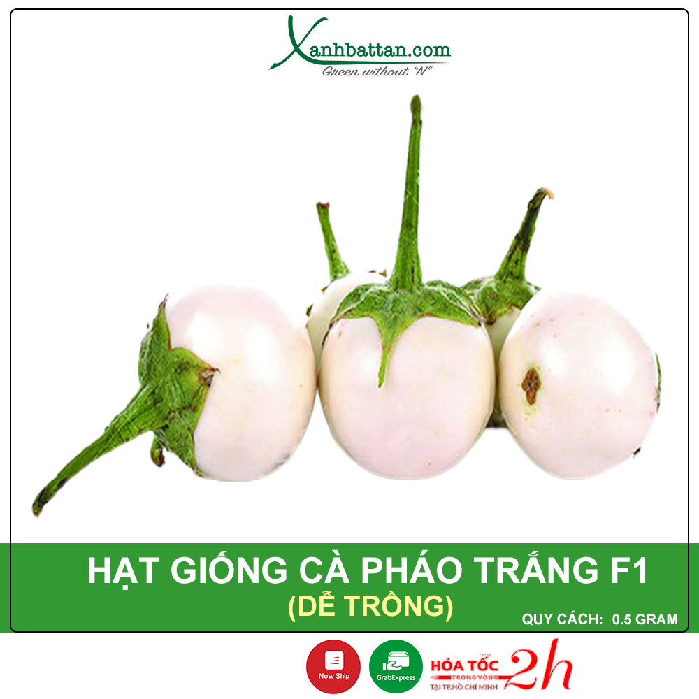 Hạt giống cà pháo trắng phú nông dễ trồng nảy mầm cao gói 0.5 gram